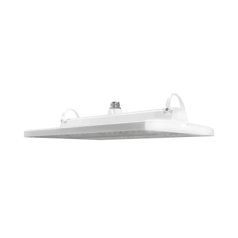 beeslighting22646001