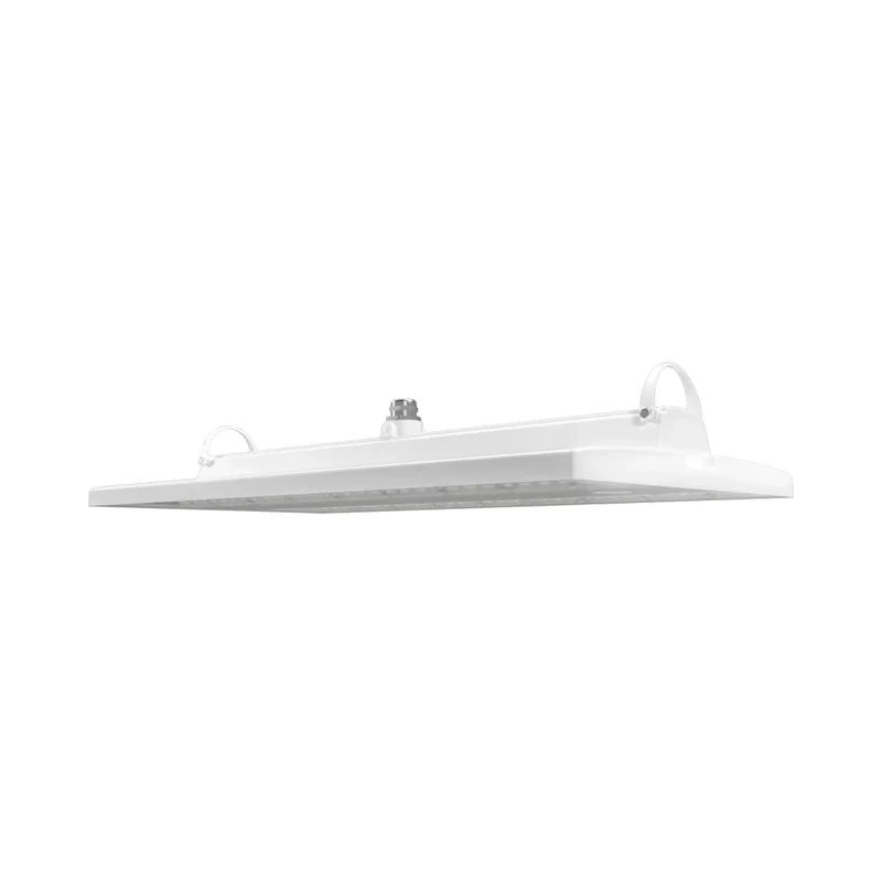 beeslighting22646015