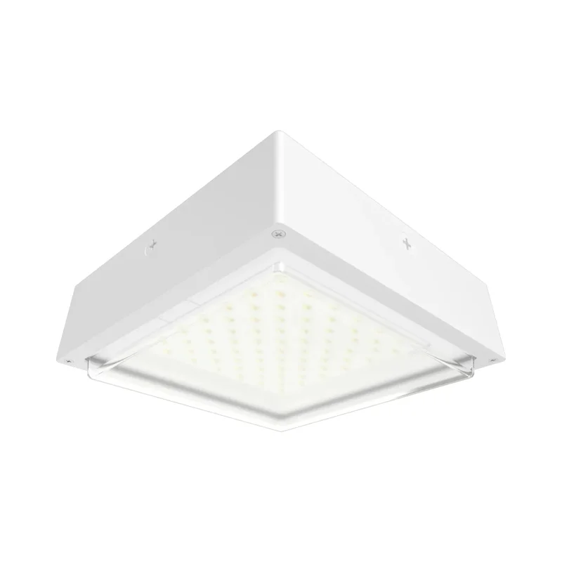 beeslighting22646725