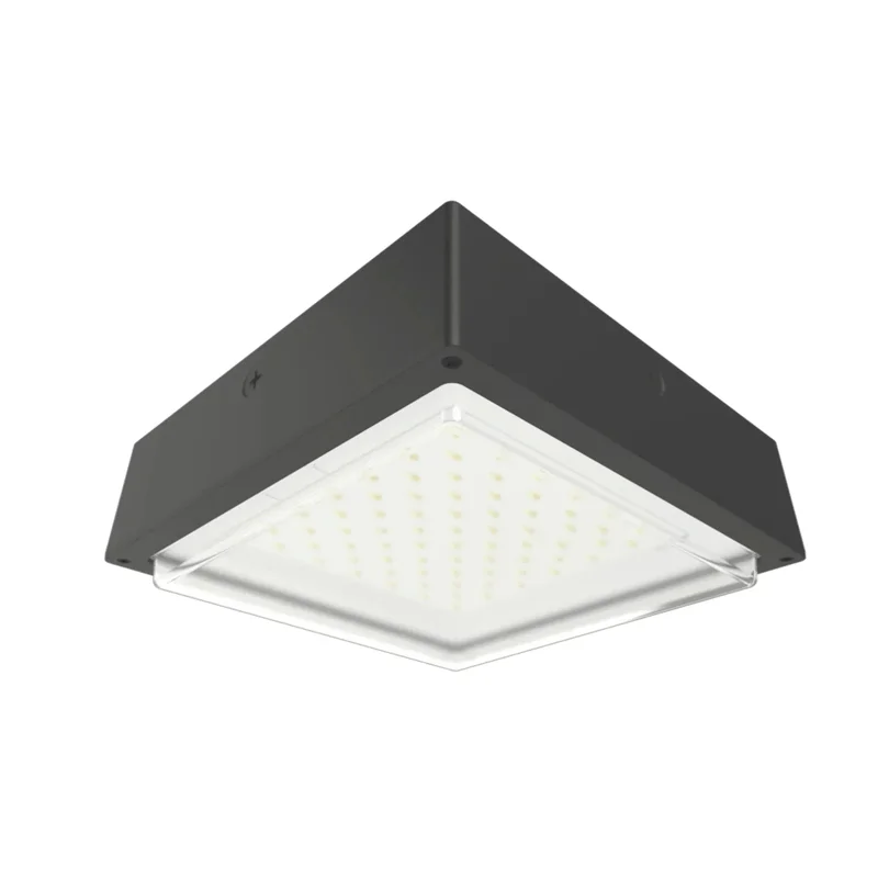 beeslighting22646739