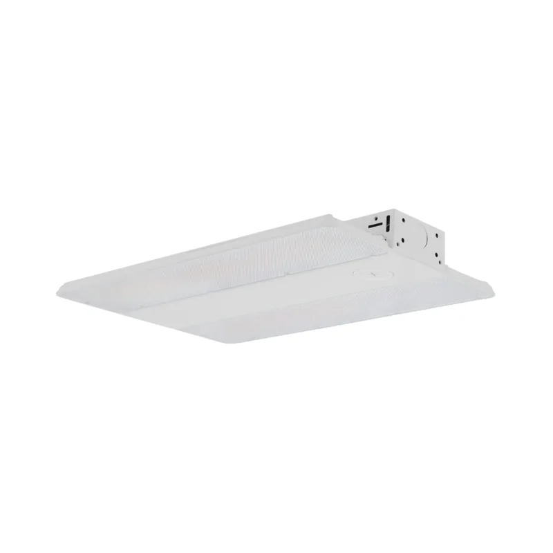 beeslighting22646759