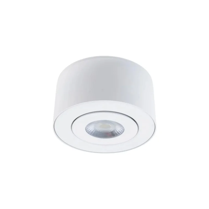beeslighting22647259