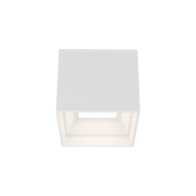 beeslighting22647273