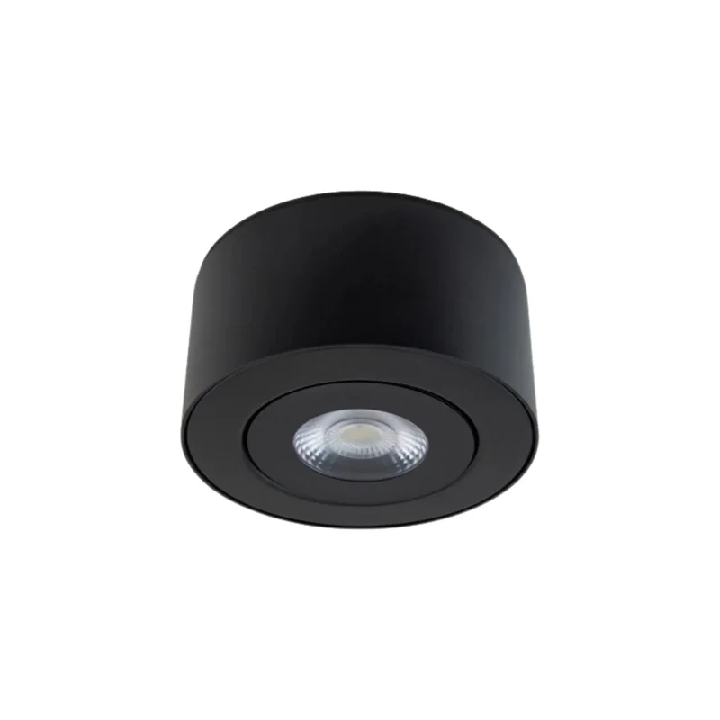 beeslighting22648456