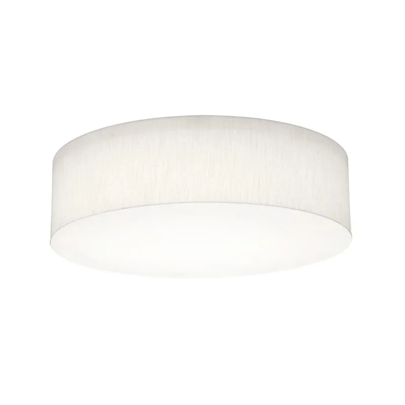 beeslighting22654698