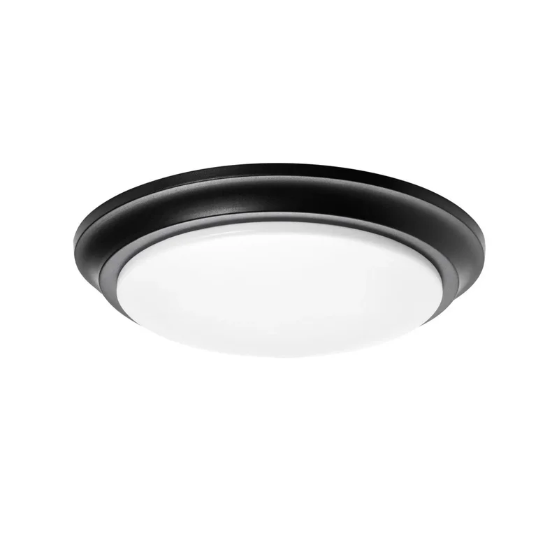 beeslighting22658562