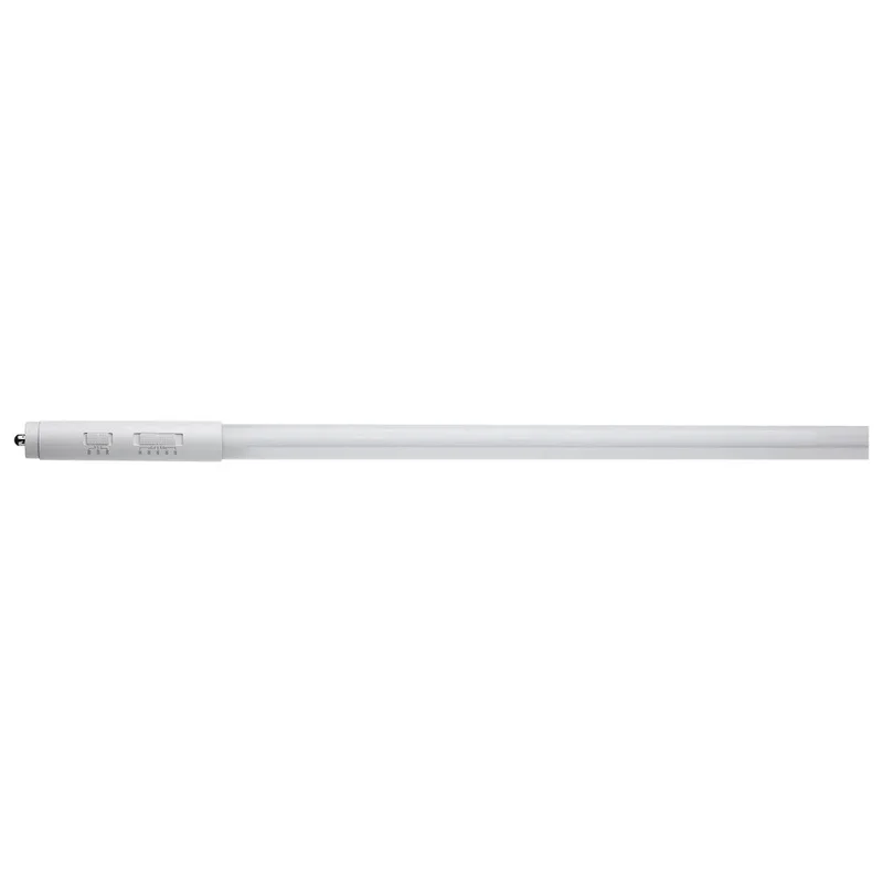 beeslighting22665277