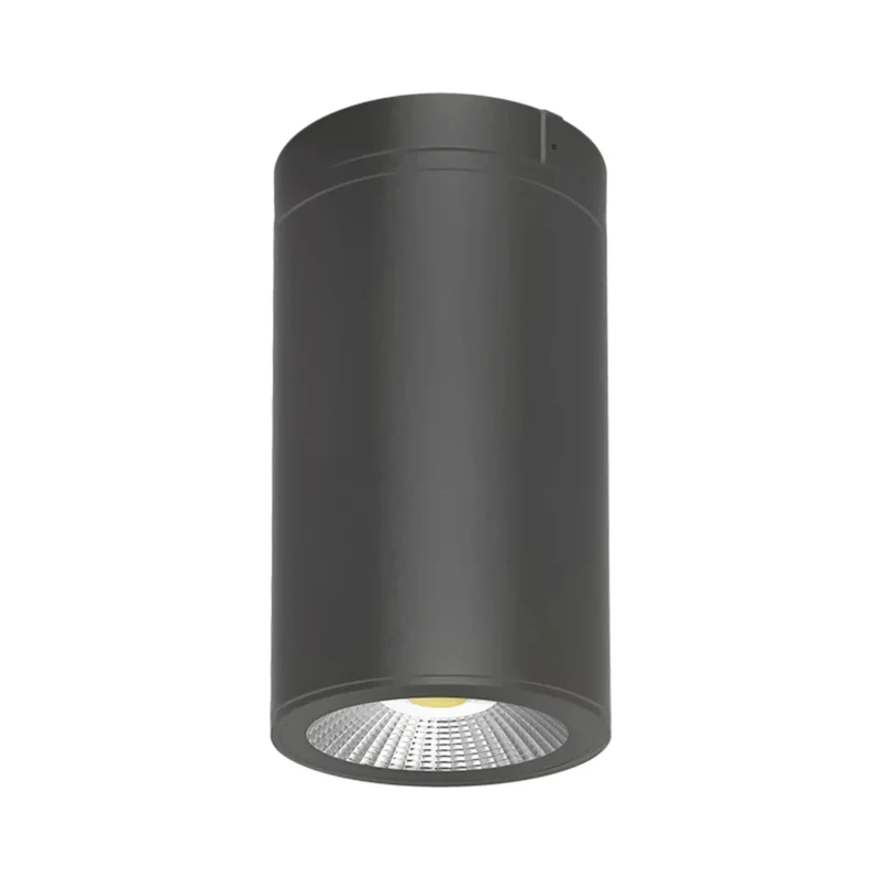 beeslighting22666576