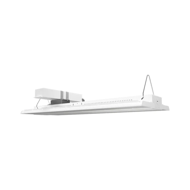 beeslighting22667034