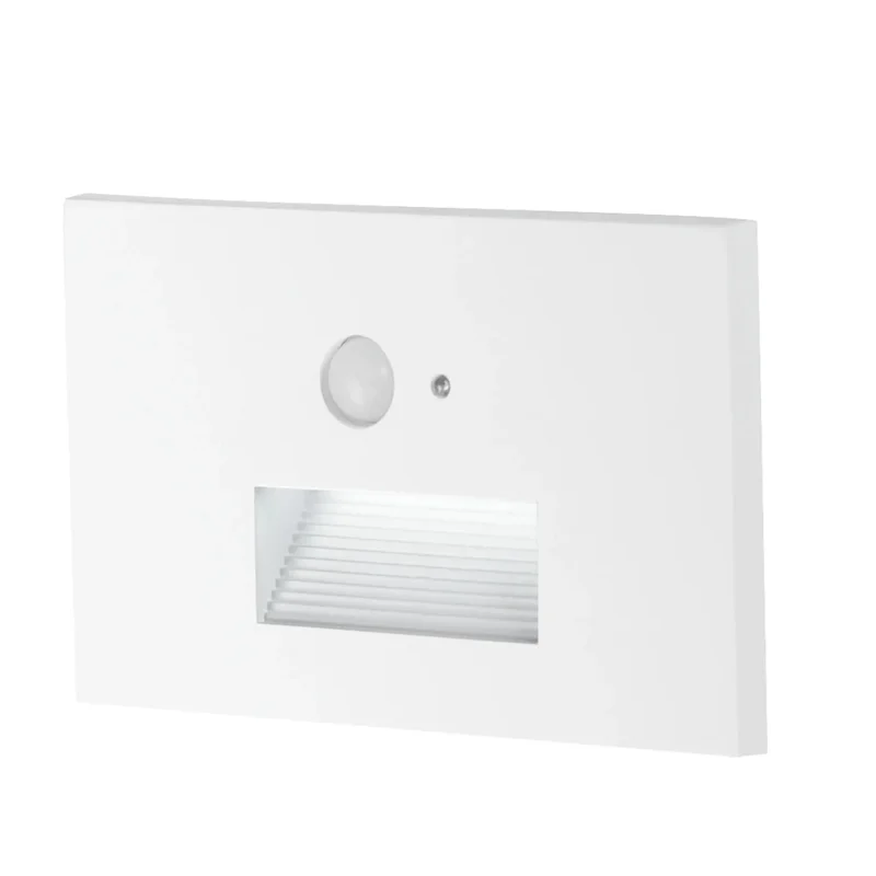 beeslighting32493902