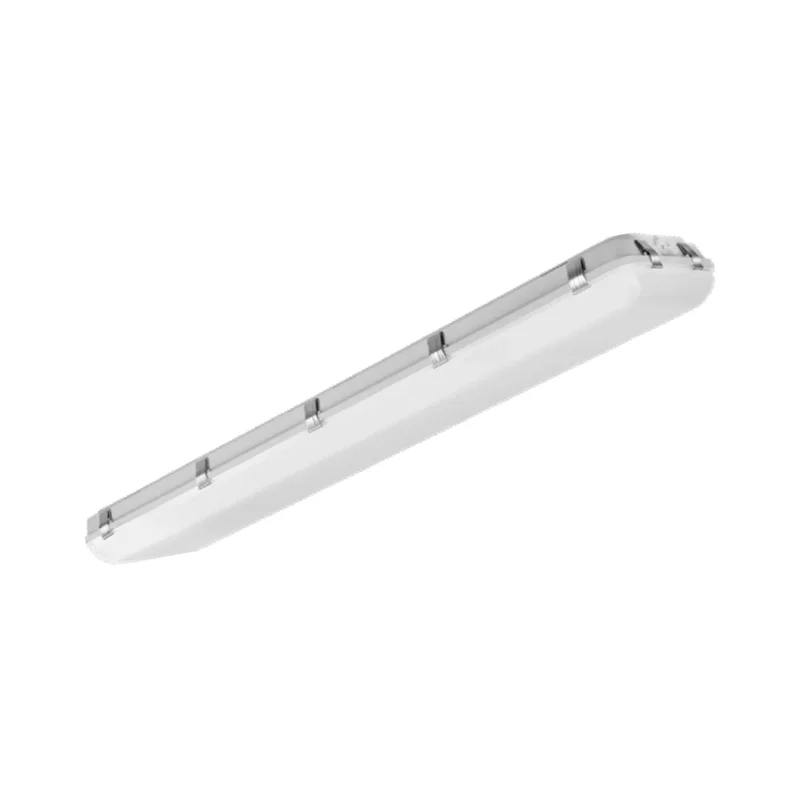 beeslighting32510778