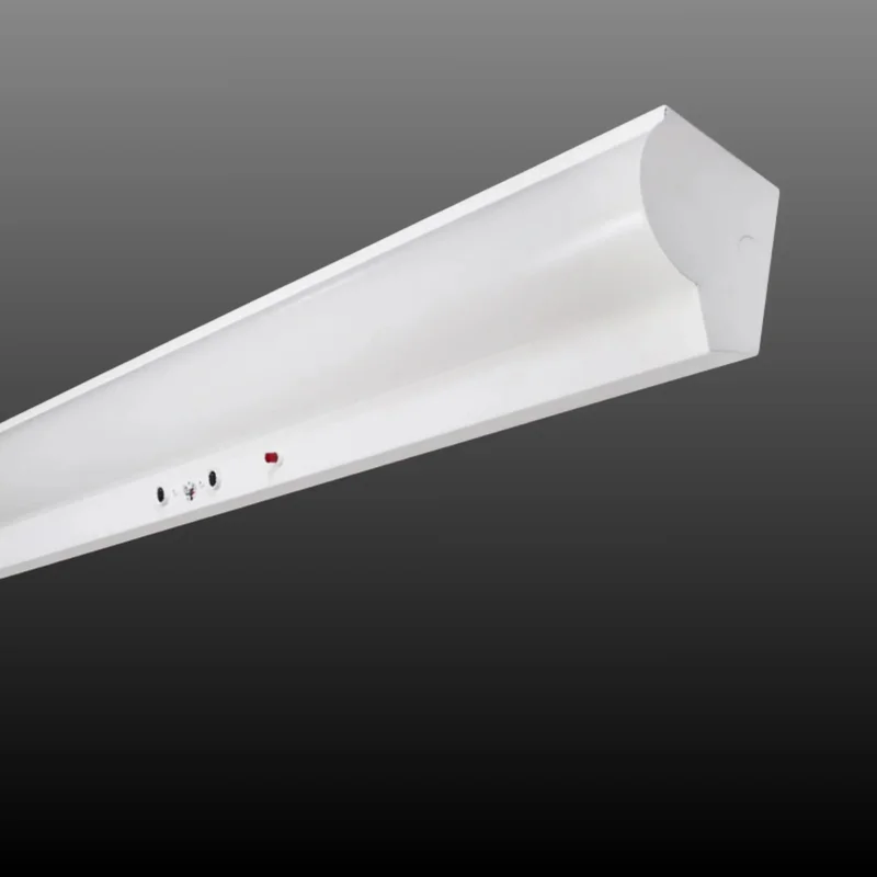 beeslighting32511380