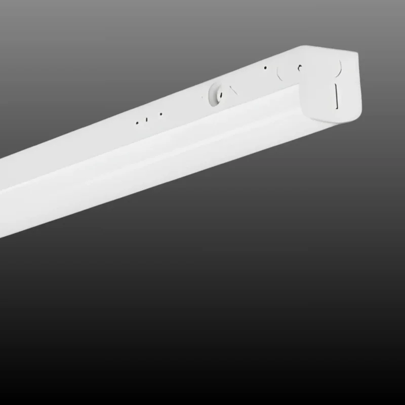 beeslighting32511582