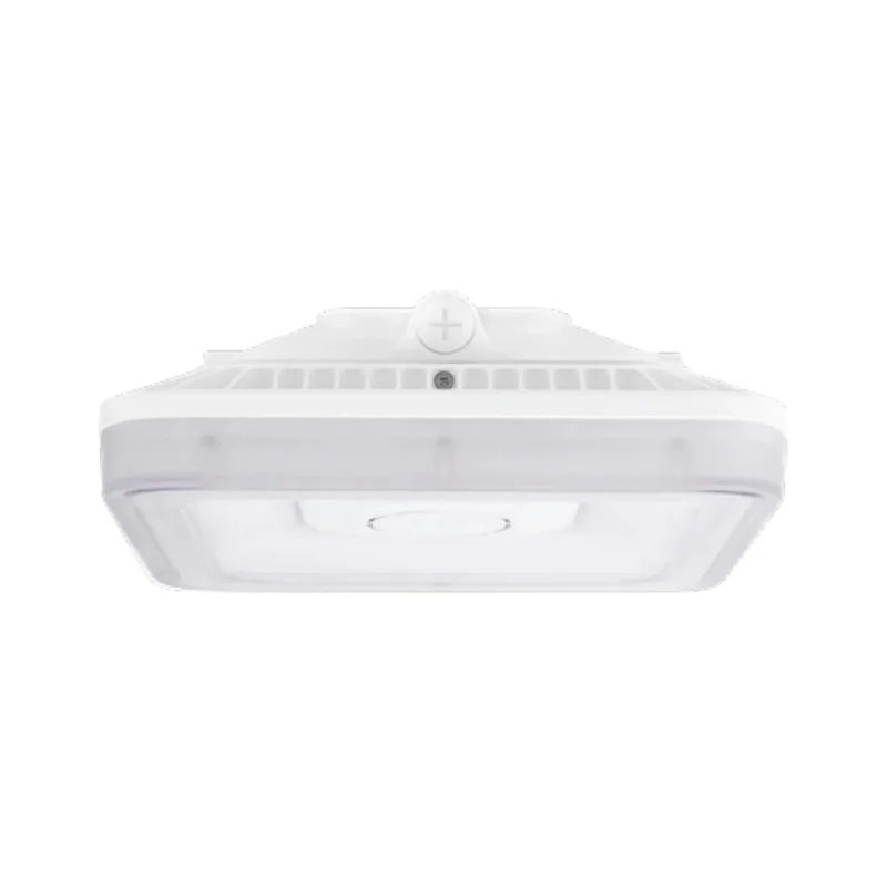beeslighting32512076
