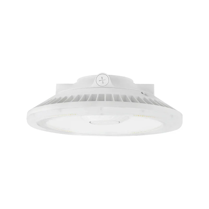 beeslighting32512506