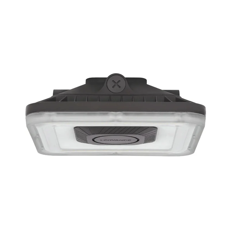 beeslighting32516487