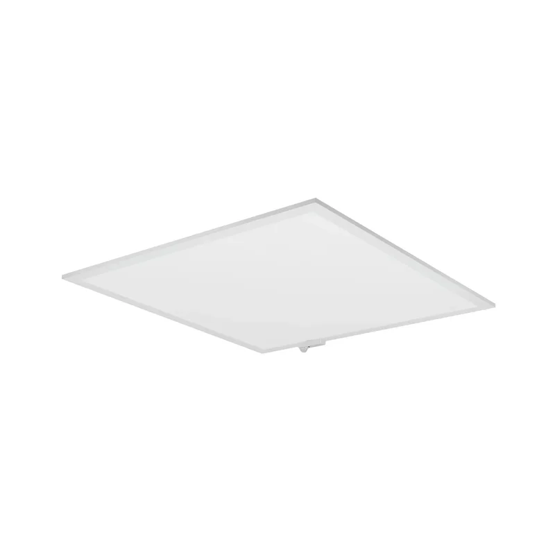 beeslighting32568037