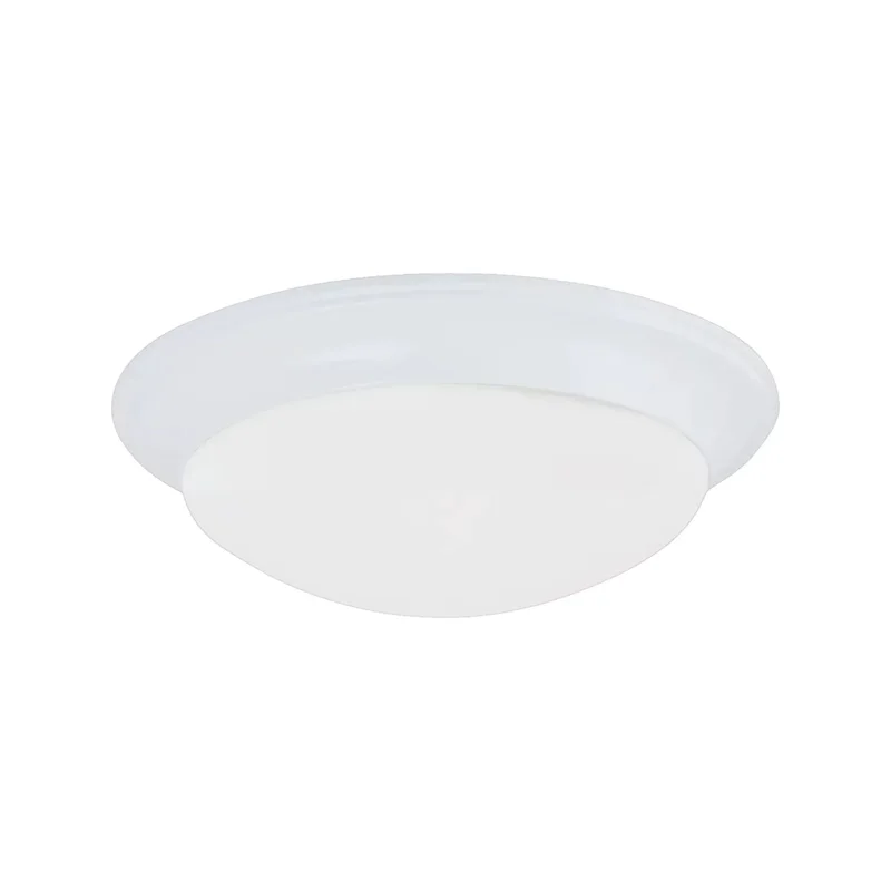 beeslighting32594745