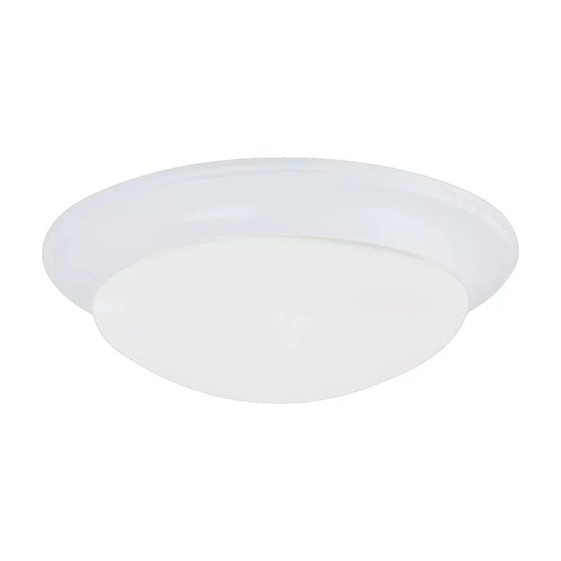 beeslighting32611146