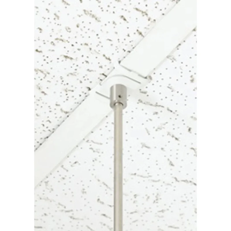 beeslighting32625174