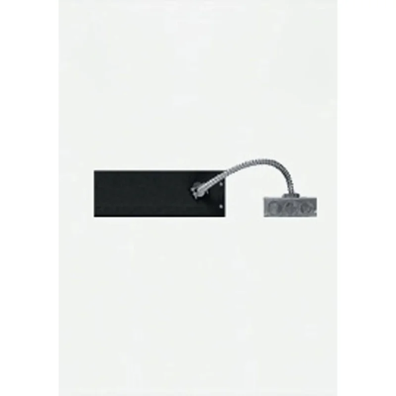 beeslighting32625937
