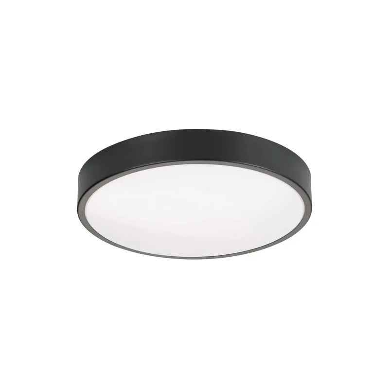 beeslighting32645076
