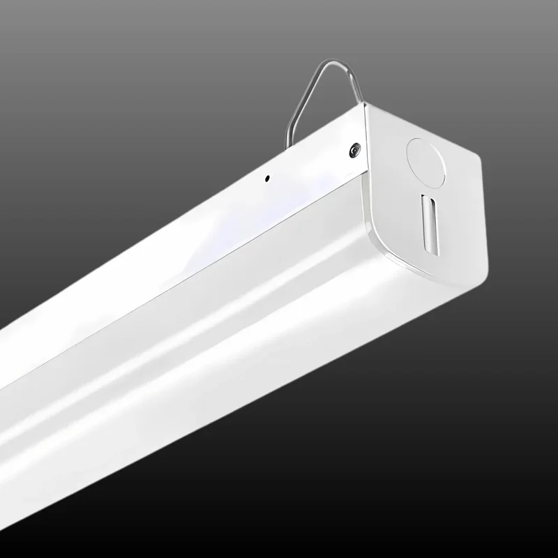 beeslighting32646960
