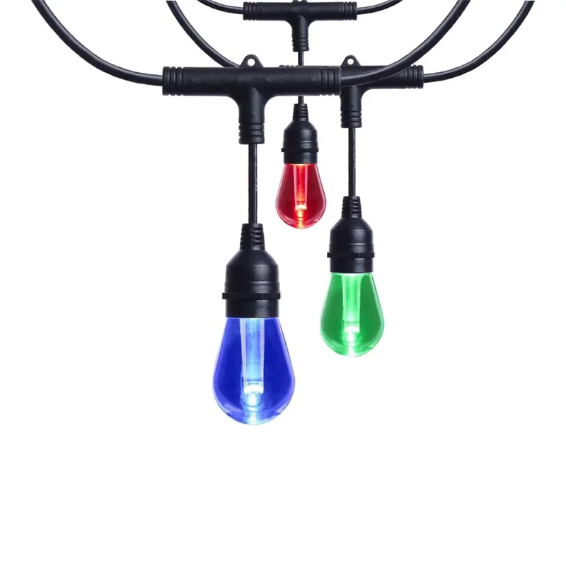 beeslighting32647974