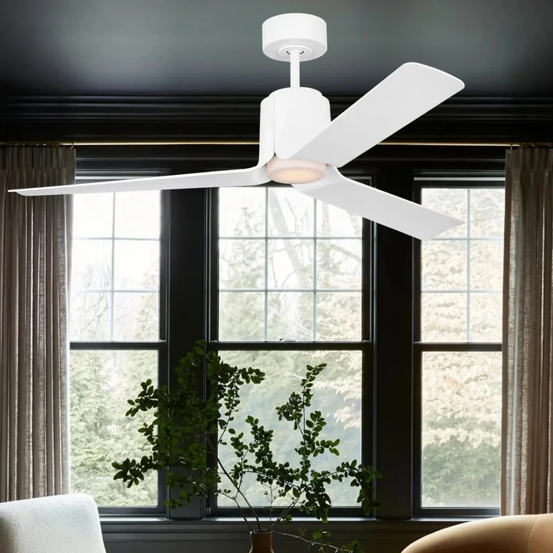 beeslighting32648701