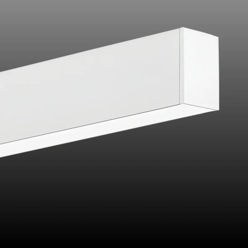 beeslighting32655966