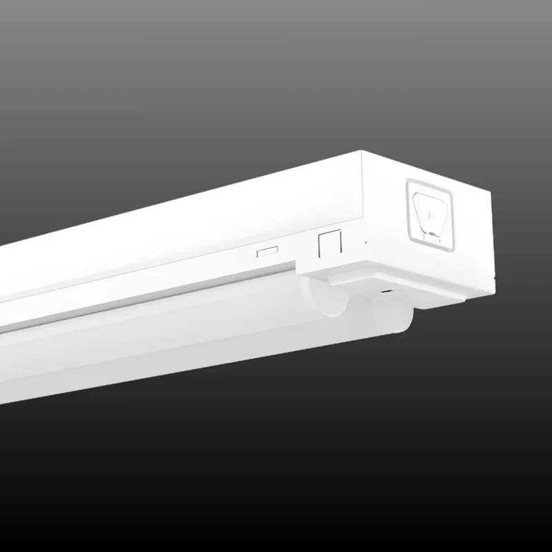 beeslighting32656798