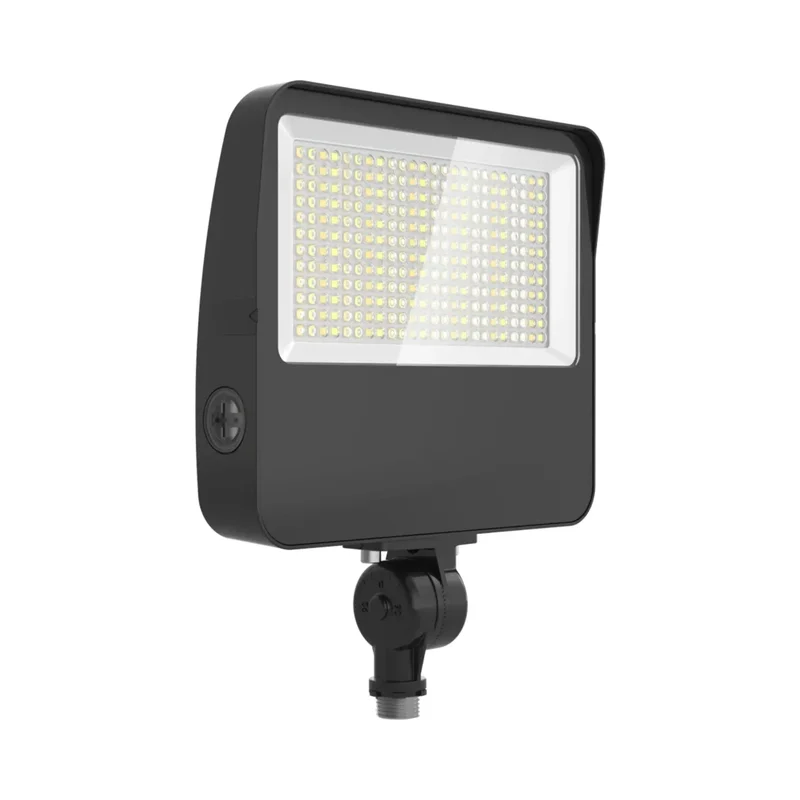 beeslighting32659774