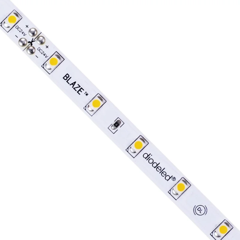 beeslighting32661349