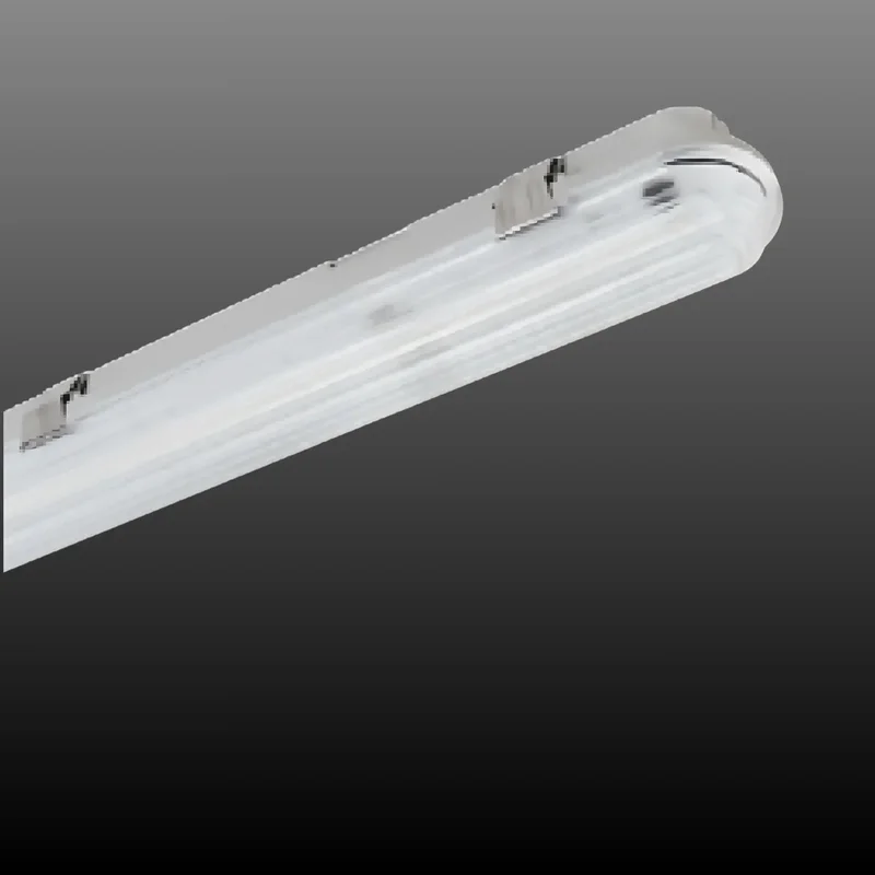 beeslighting32661560