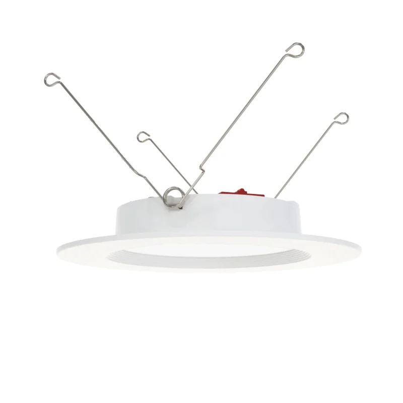 beeslighting32661697
