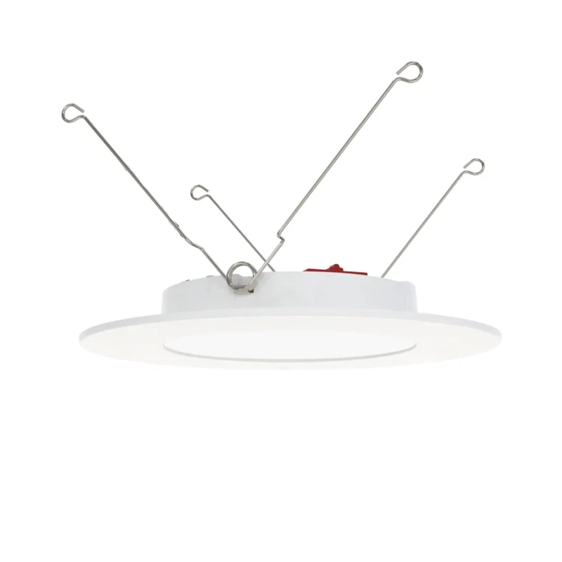 beeslighting32661702