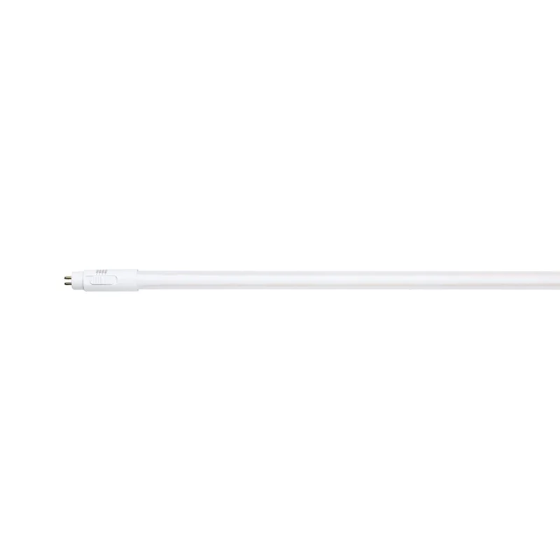 beeslighting32661740