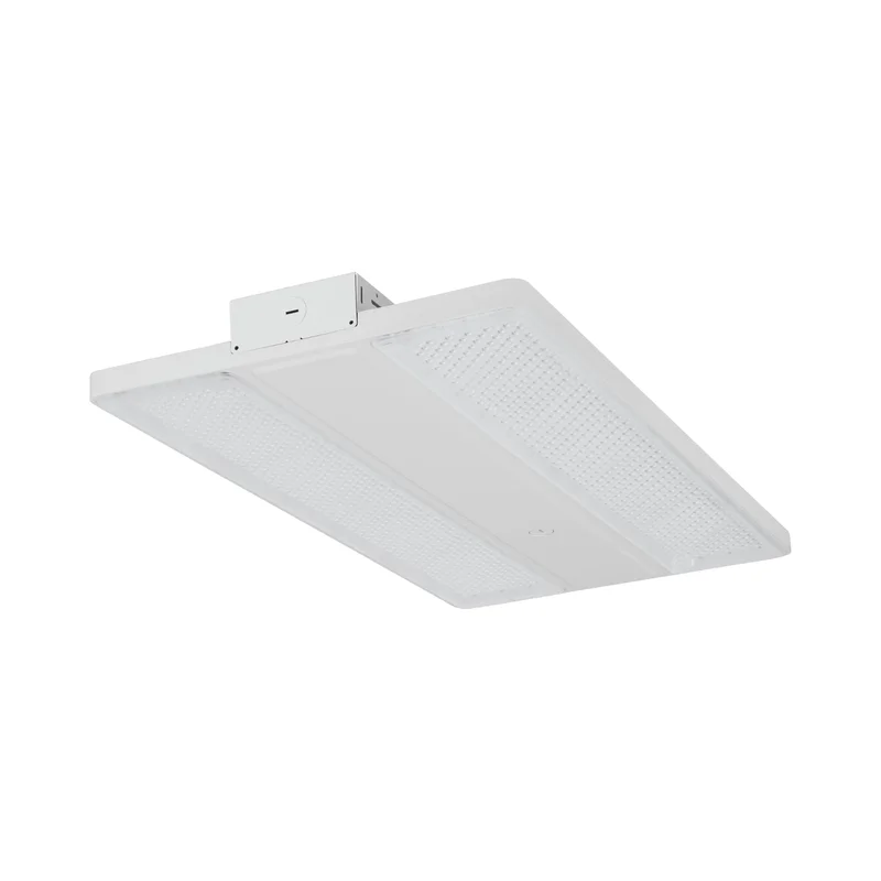 beeslighting32661880