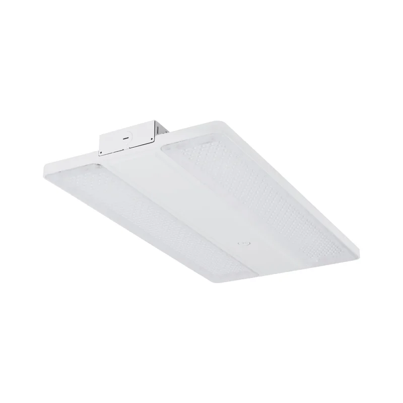 beeslighting32661889