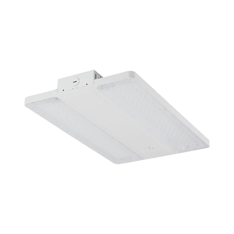 beeslighting32661893