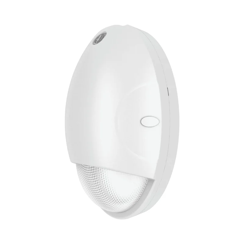 beeslighting32664471