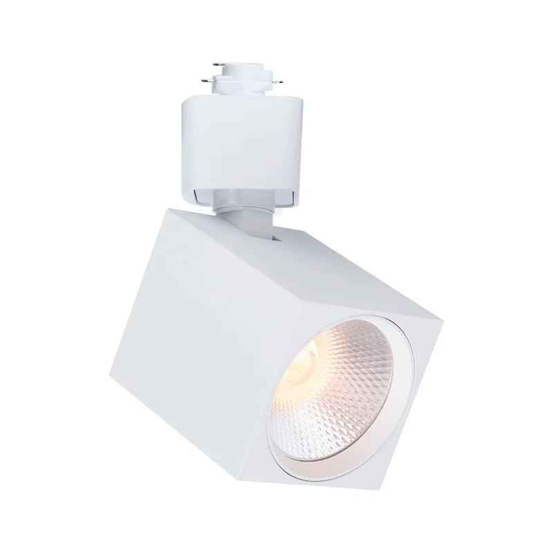 beeslighting32664537
