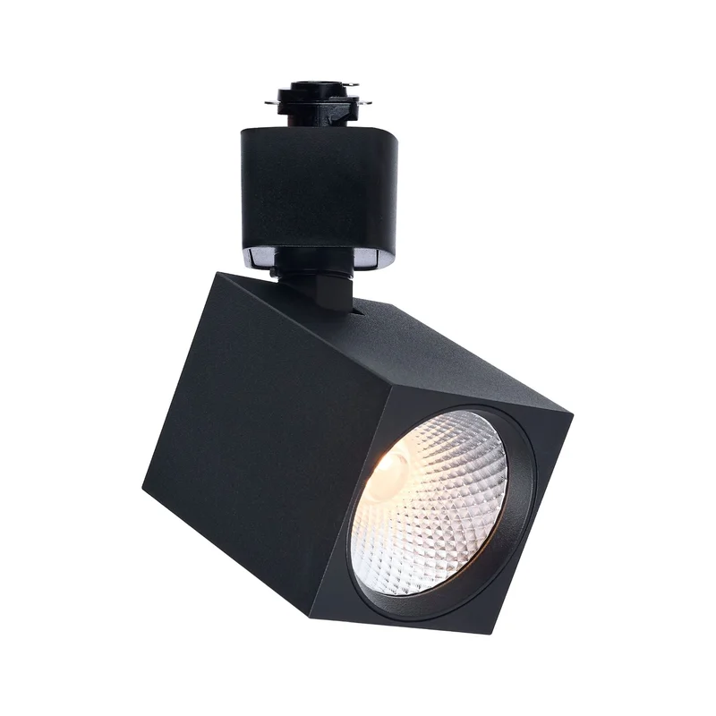 beeslighting32664548