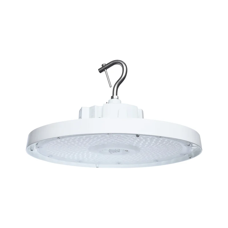 beeslighting32666429