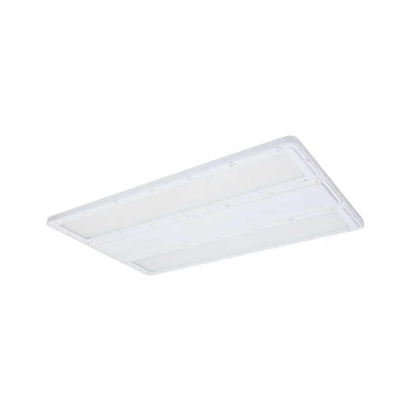 beeslighting32666487
