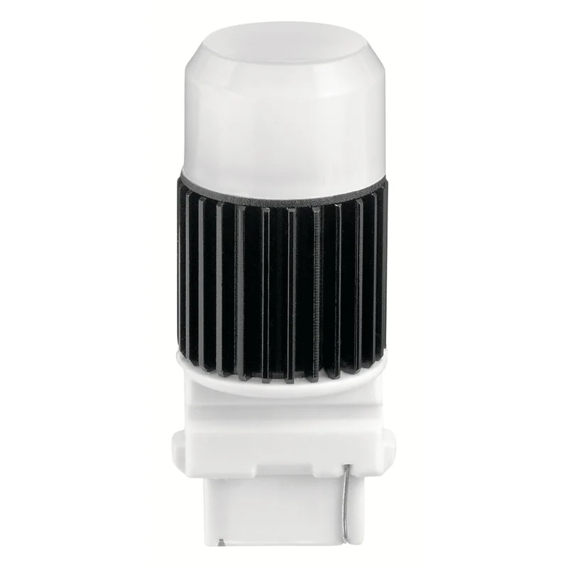 beeslighting32668661
