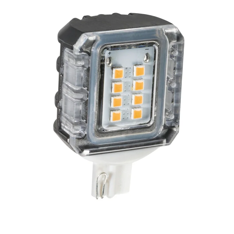beeslighting32668957