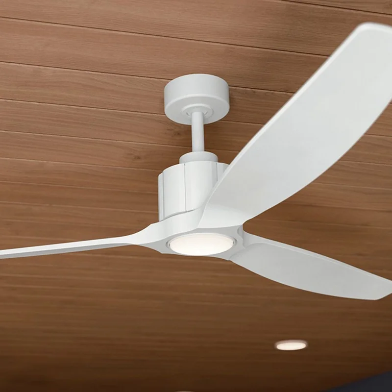 beeslighting32669154