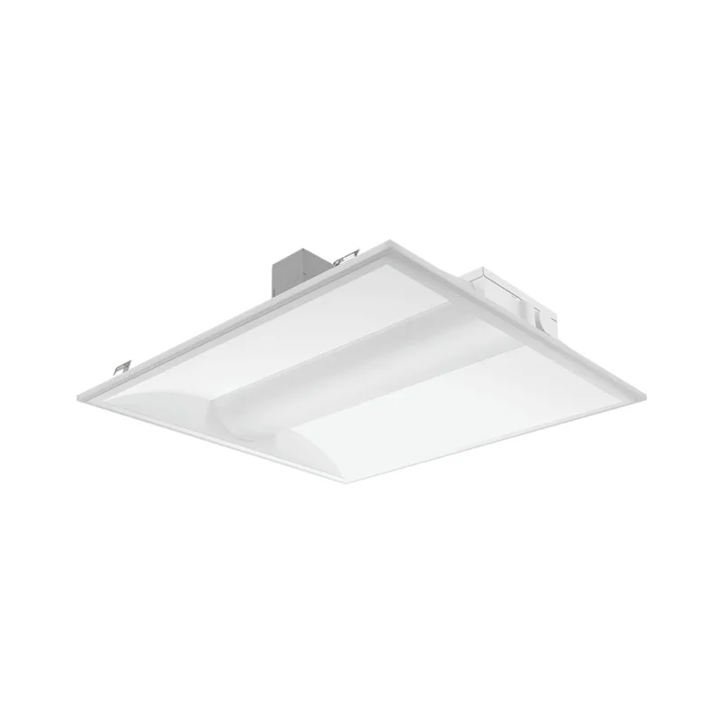 beeslighting32669754
