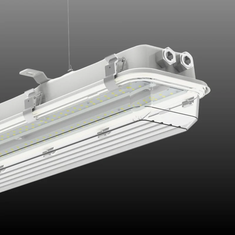 beeslighting32672751